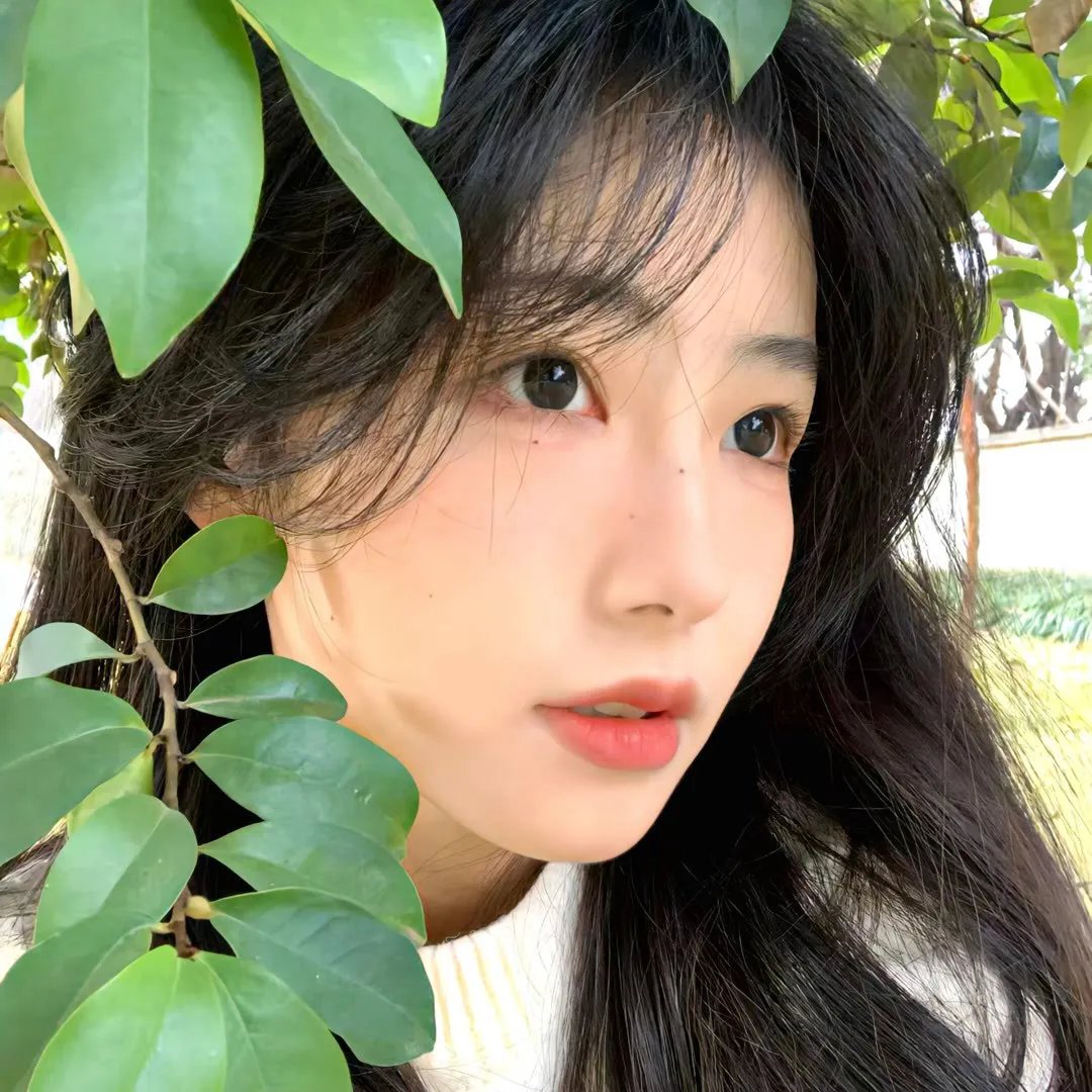 可怕的尼斯